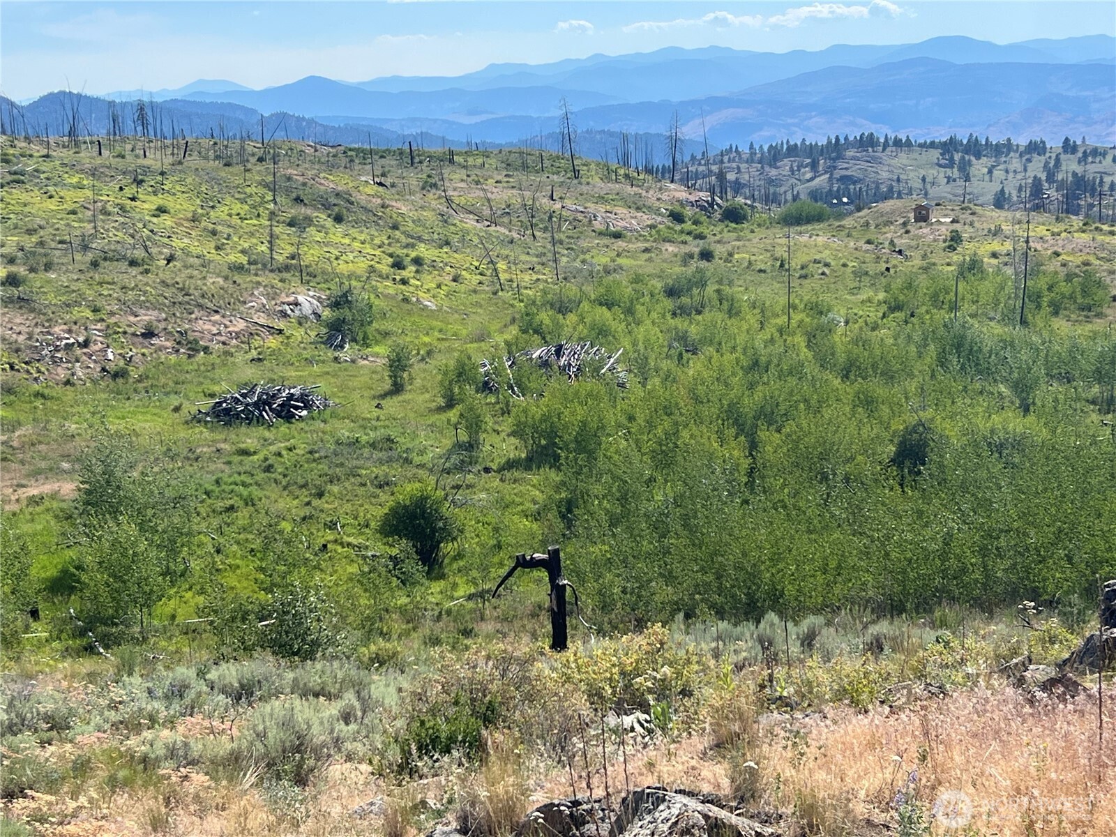 0 Lot 12 Lone Spur Road
