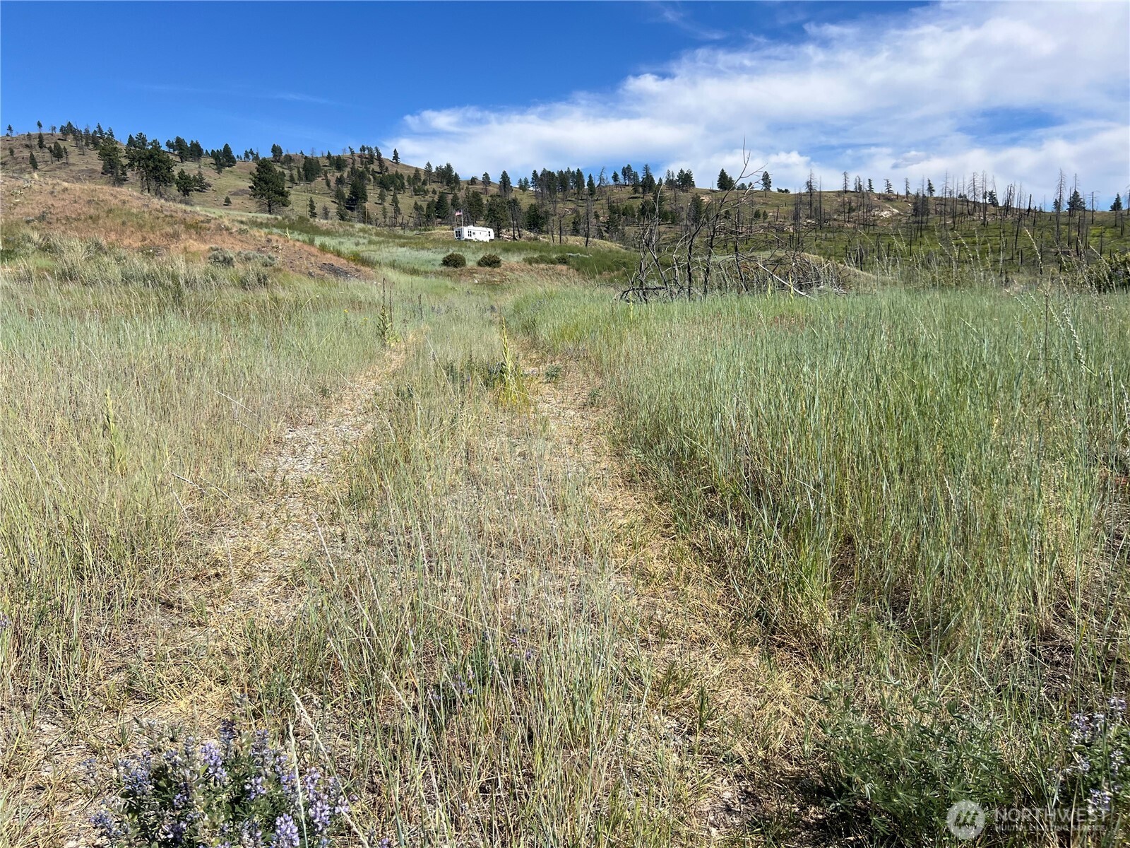 0 Lot 12 Lone Spur Road