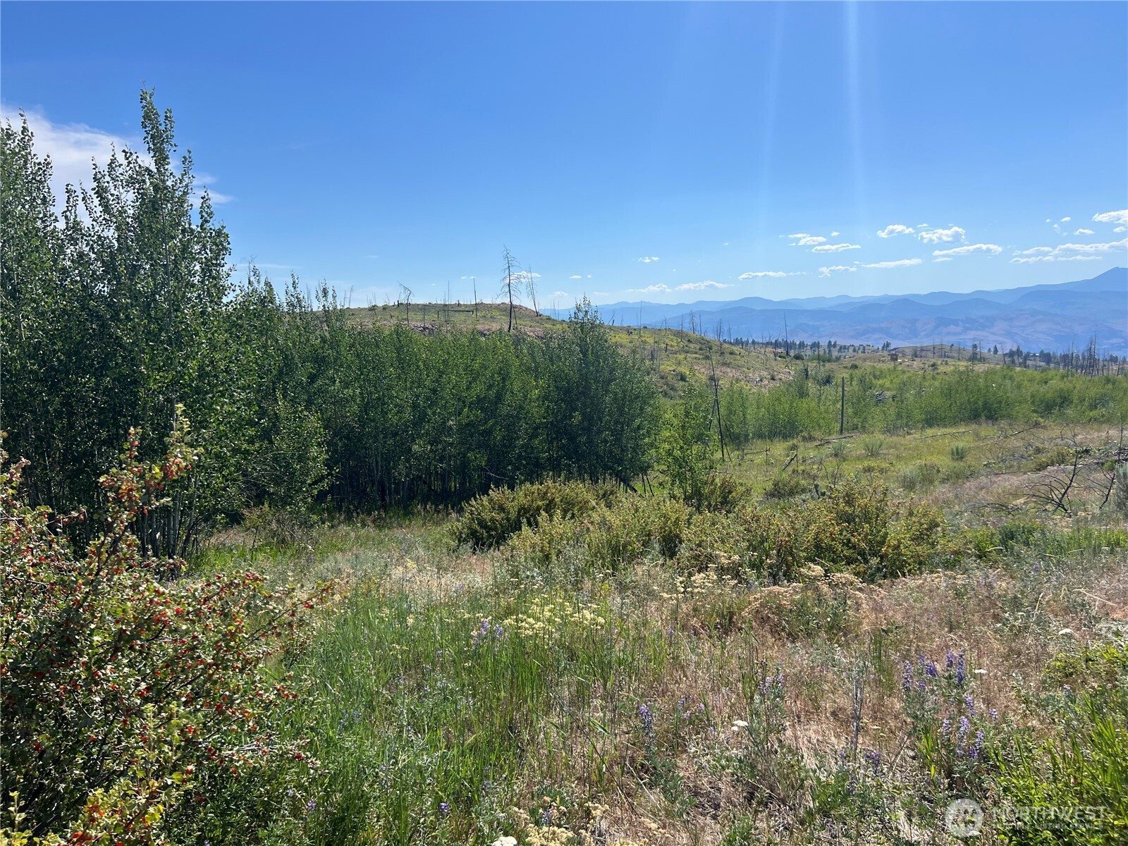 0 Lot 12 Lone Spur Road