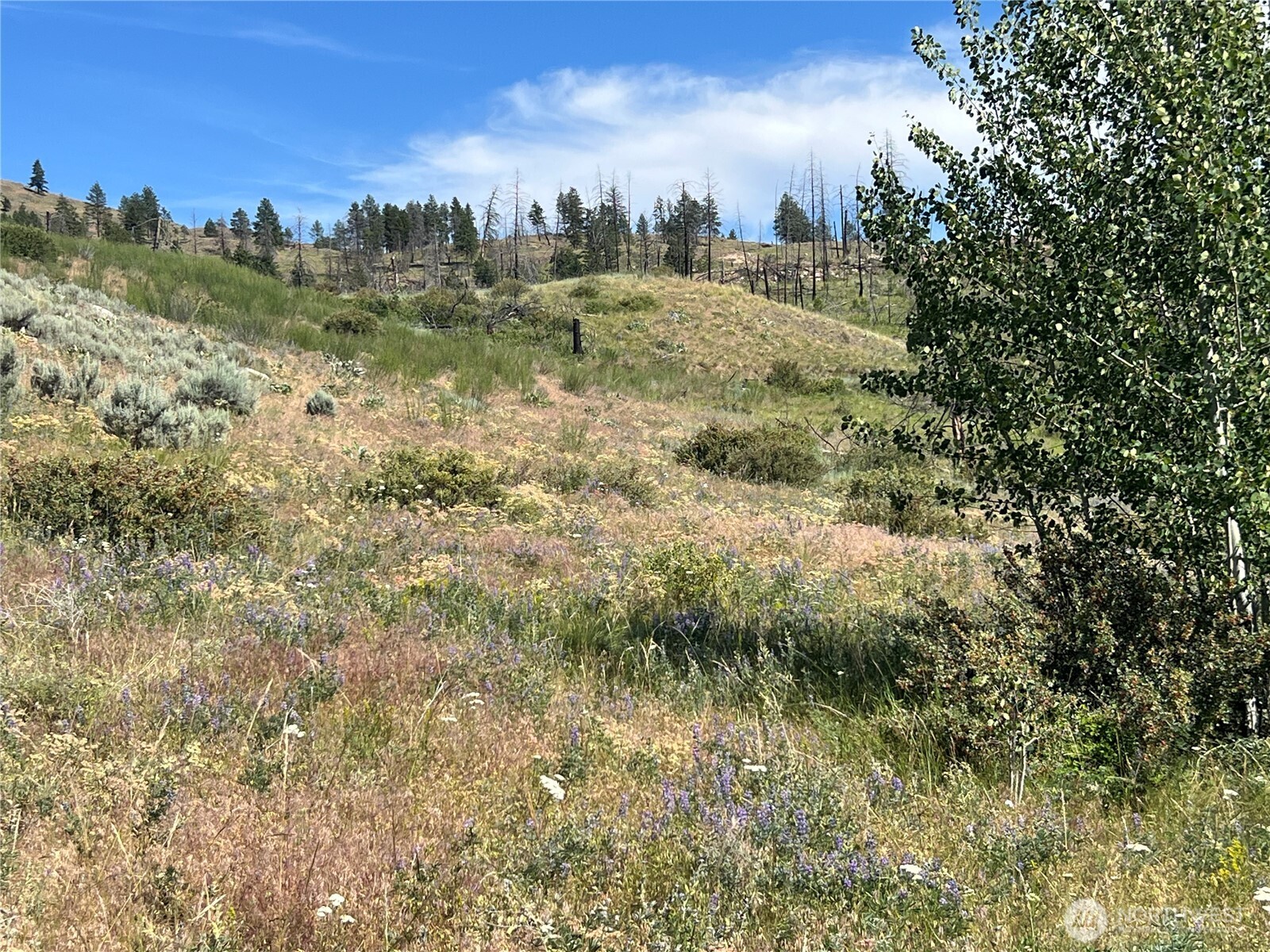 0 Lot 12 Lone Spur Road
