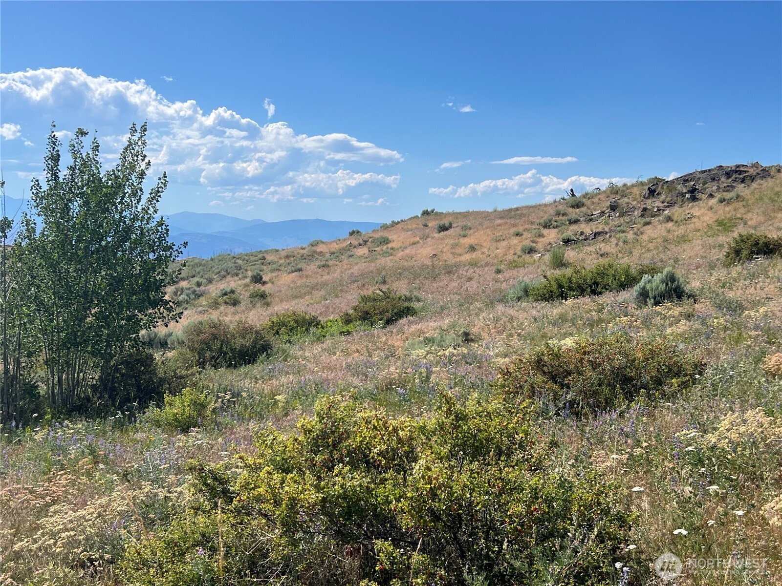 0 Lot 12 Lone Spur Road
