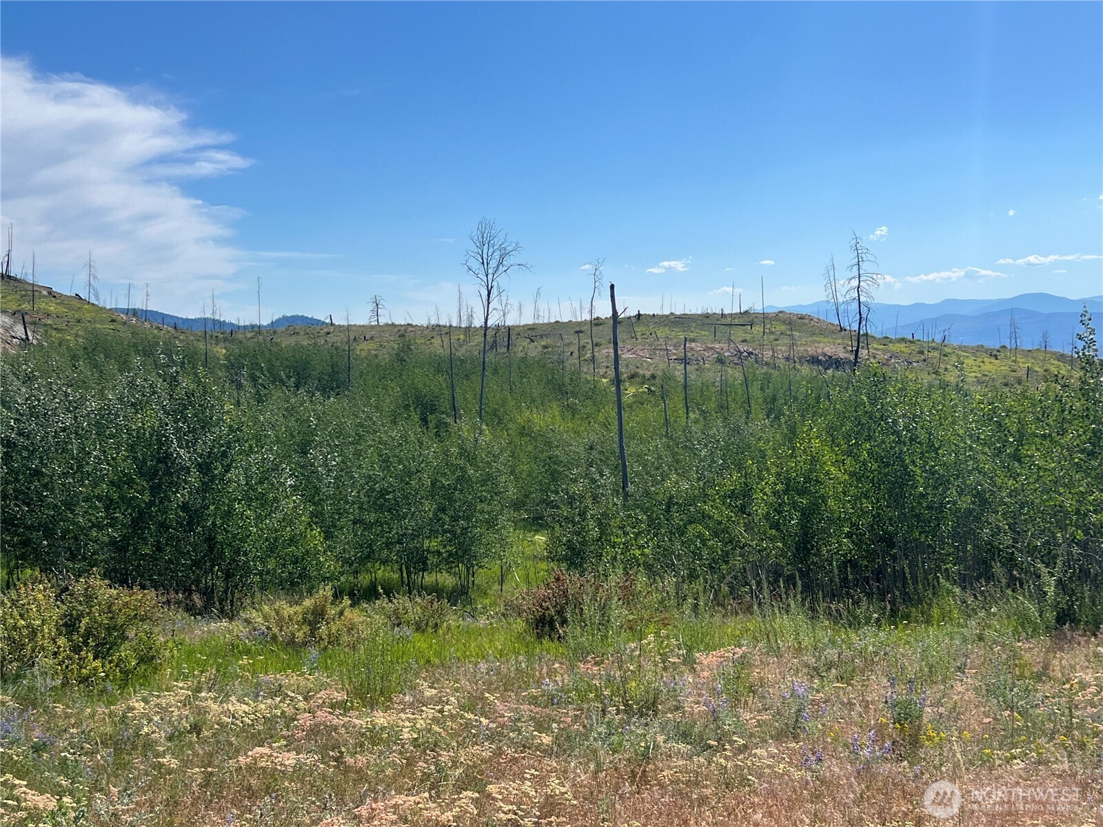0 Lot 12 Lone Spur Road