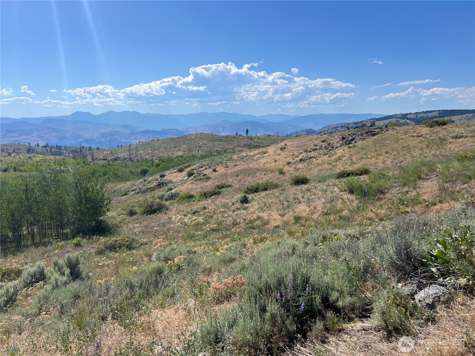 0 Lot 12 Lone Spur Road