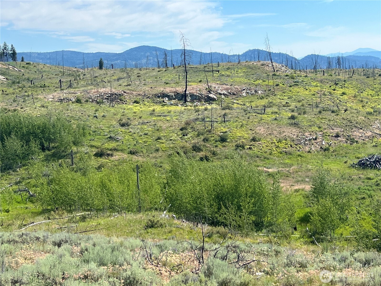 0 Lot 12 Lone Spur Road