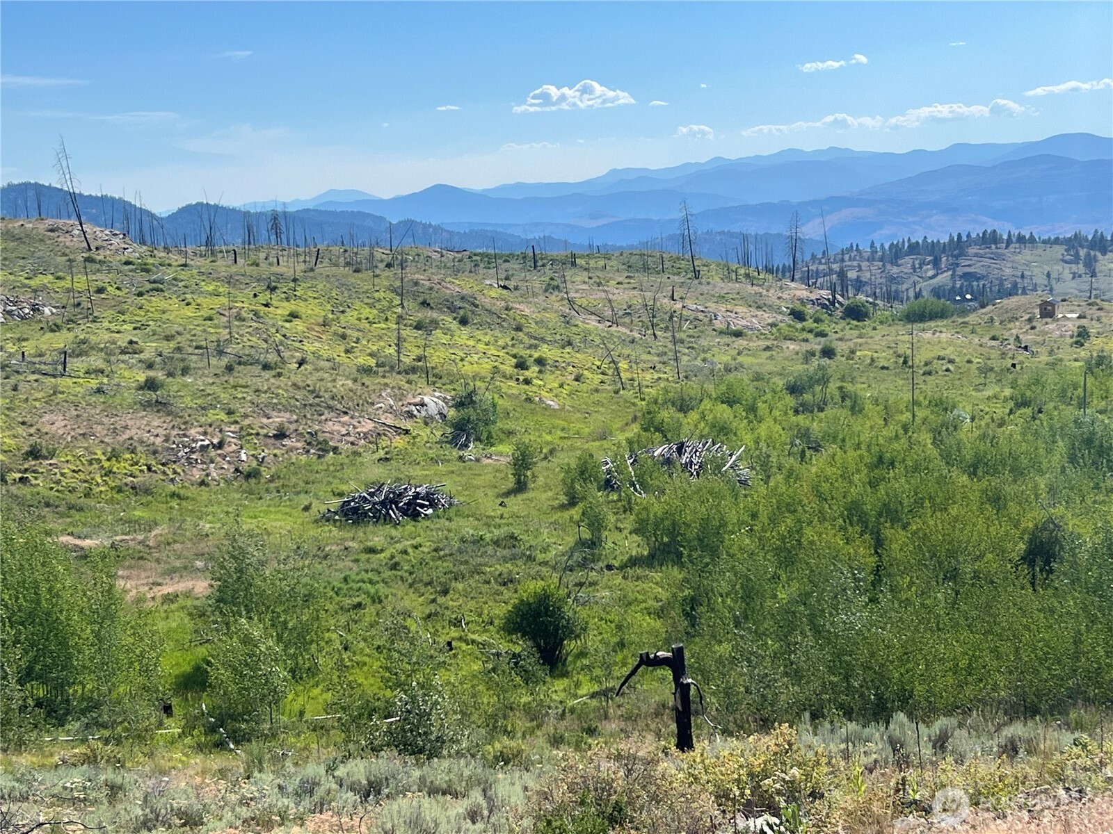0 Lot 12 Lone Spur Road