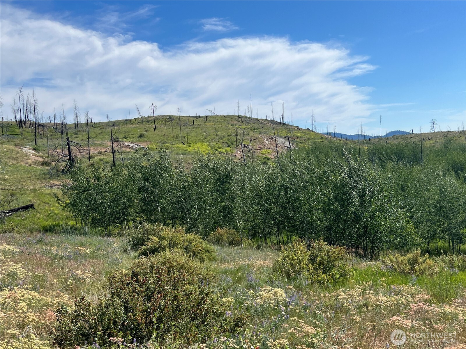 0 Lot 12 Lone Spur Road