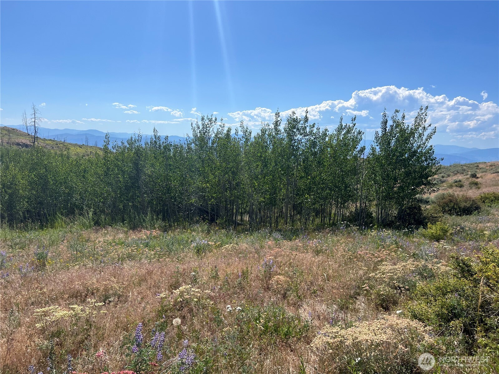 0 Lot 12 Lone Spur Road