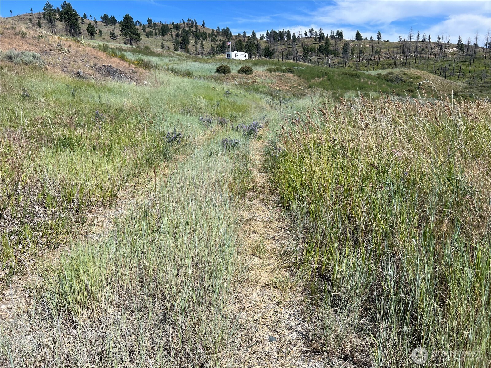 0 Lot 12 Lone Spur Road