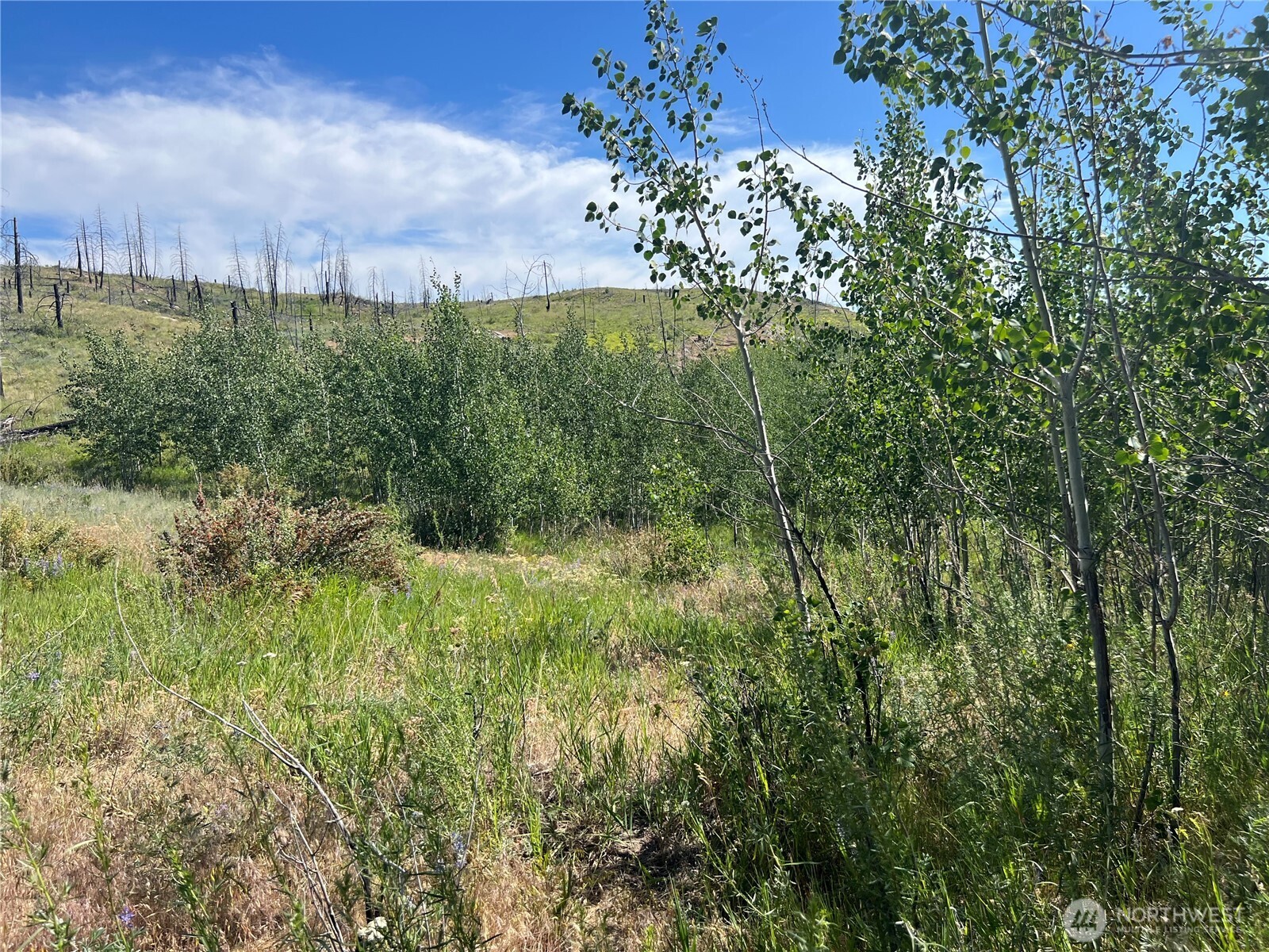 0 Lot 12 Lone Spur Road