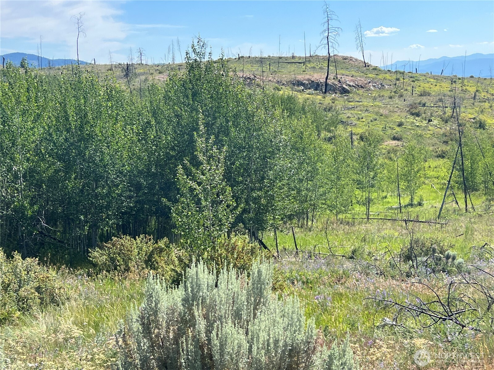 0 Lot 12 Lone Spur Road