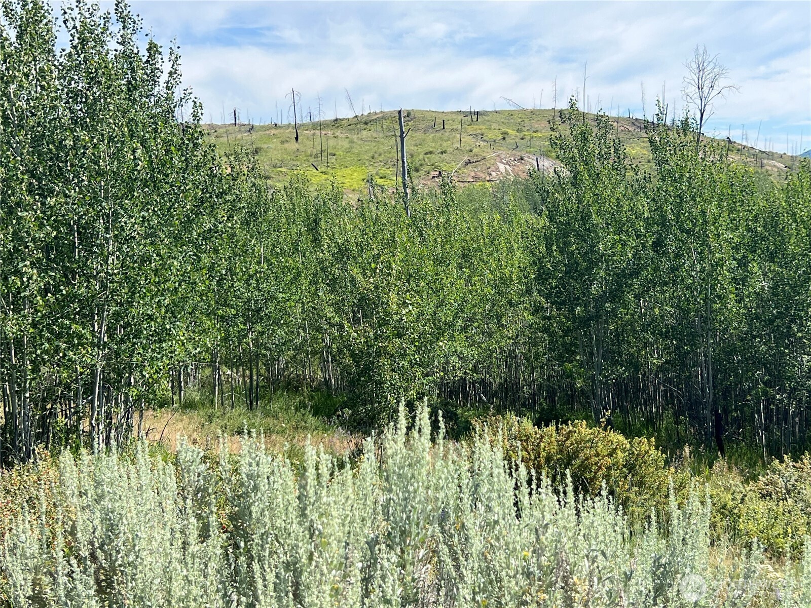 0 Lot 12 Lone Spur Road