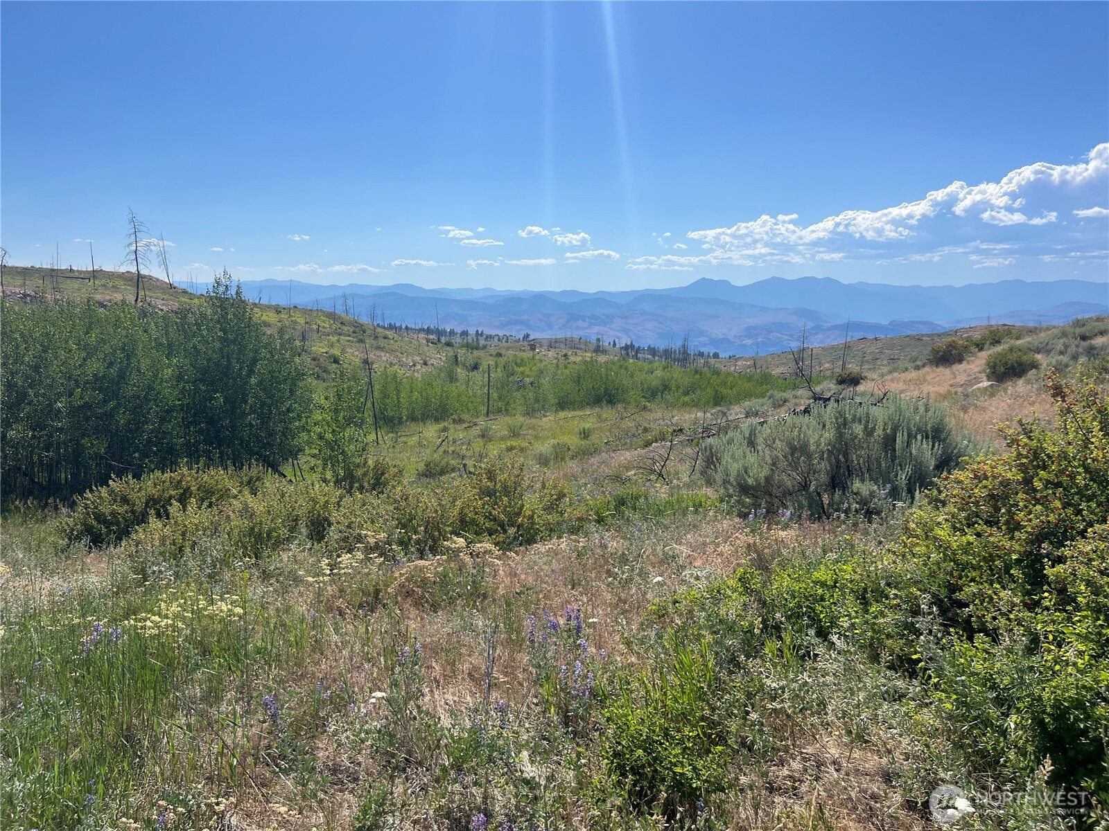 0 Lot 12 Lone Spur Road