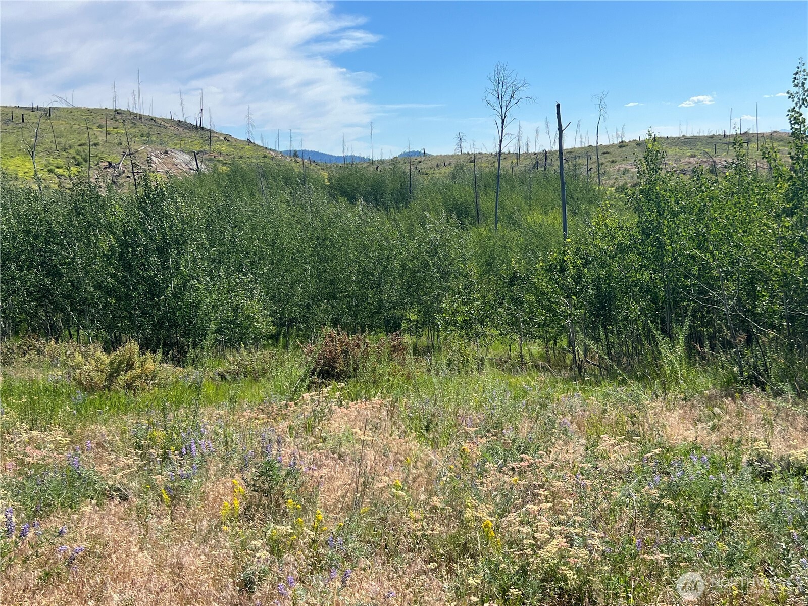 0 Lot 12 Lone Spur Road