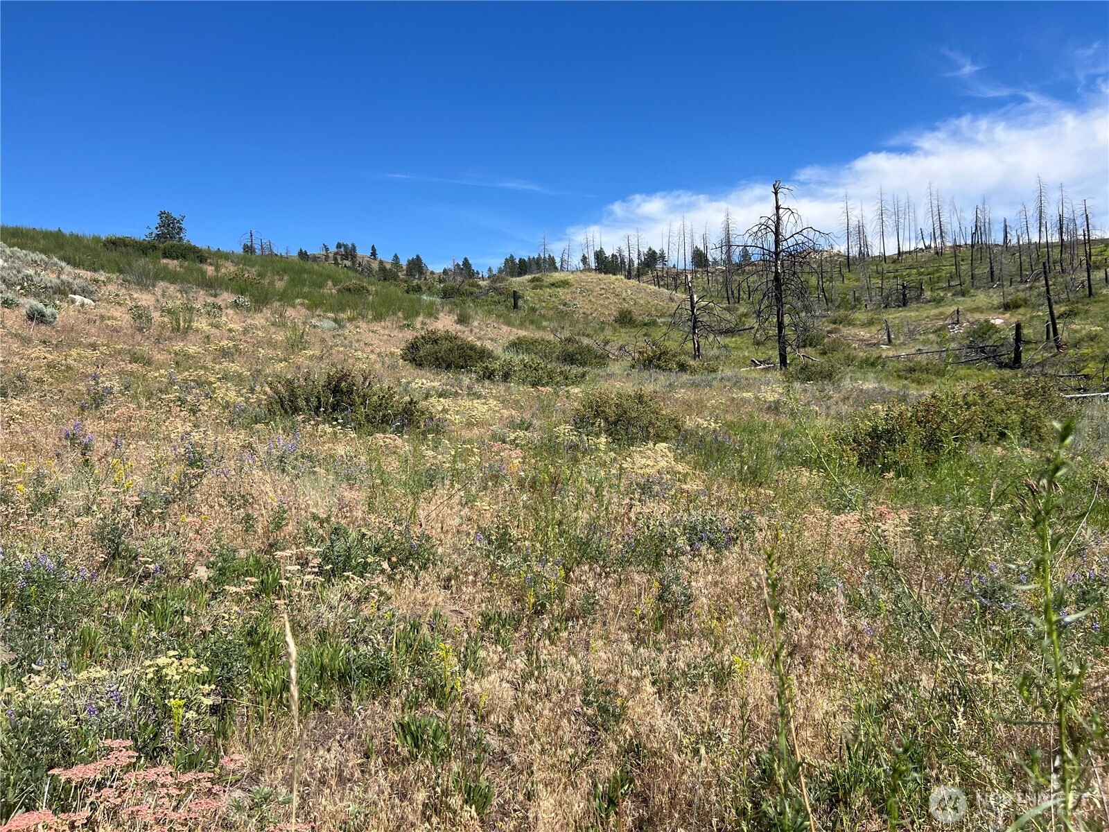 0 Lot 12 Lone Spur Road