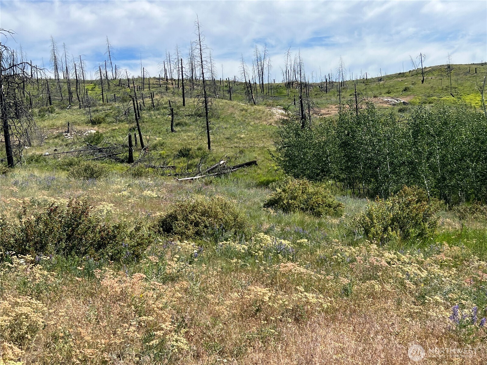 0 Lot 12 Lone Spur Road