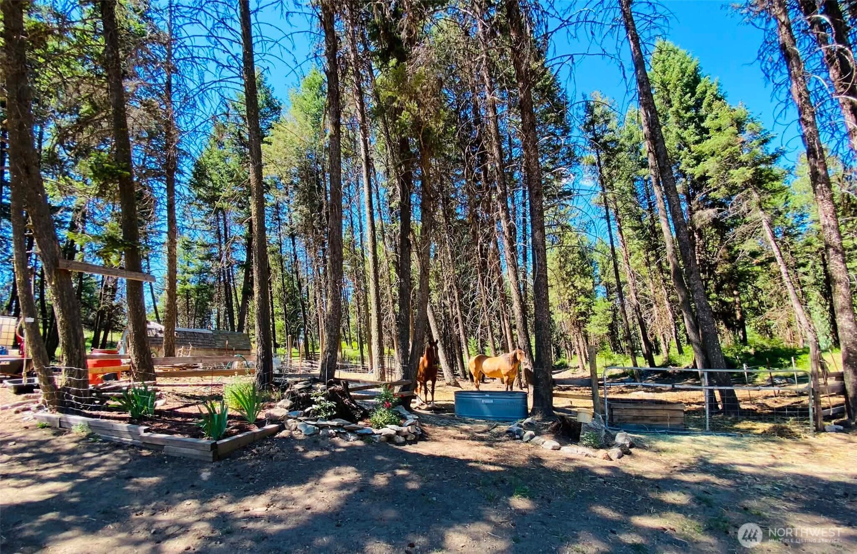 116 Pine Chee Road