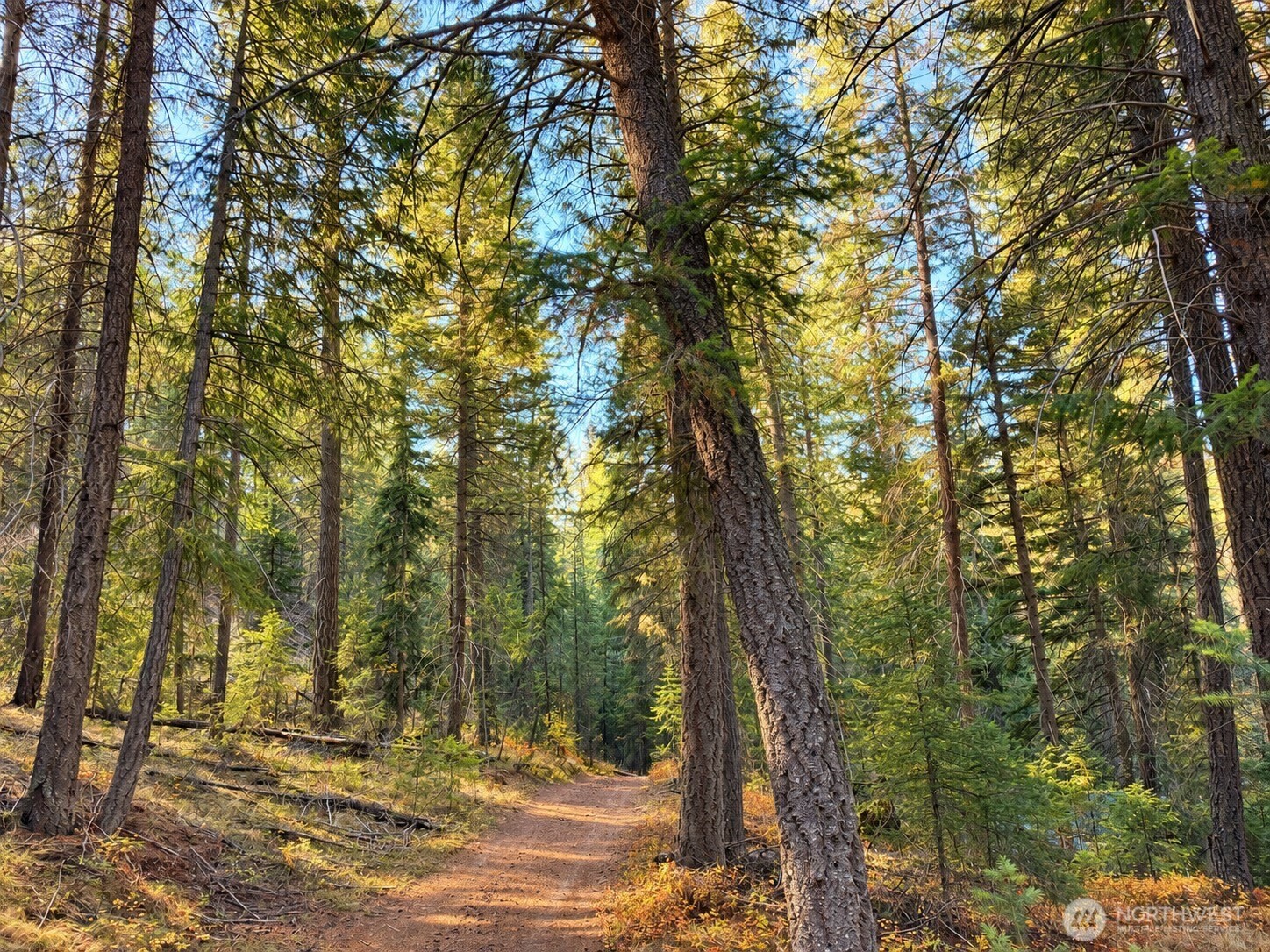 0 W Fork Road
