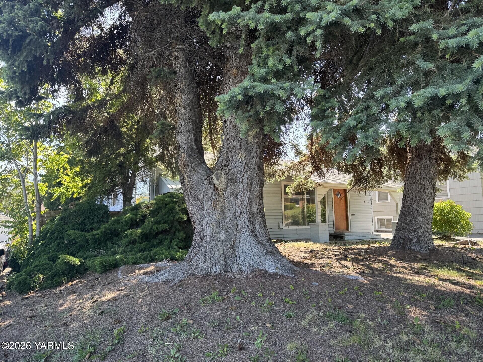 313 N 27th Ave
