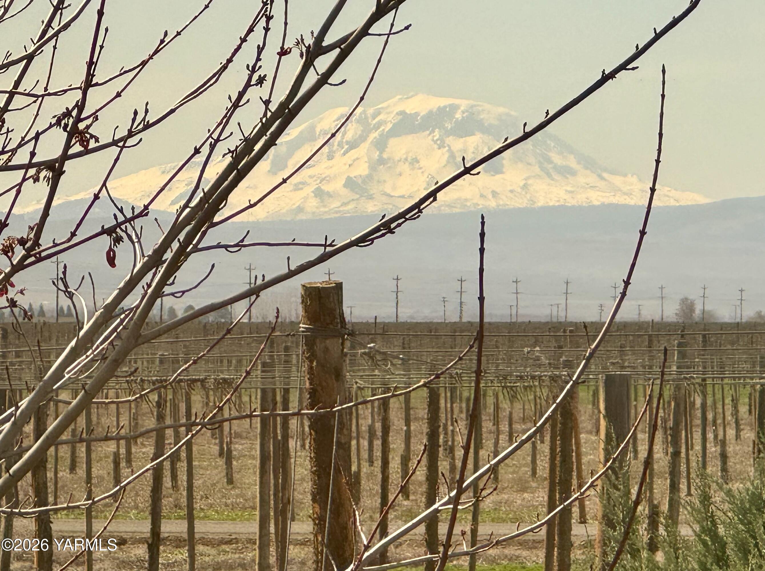 7801 Campbell Rd Unit: 1