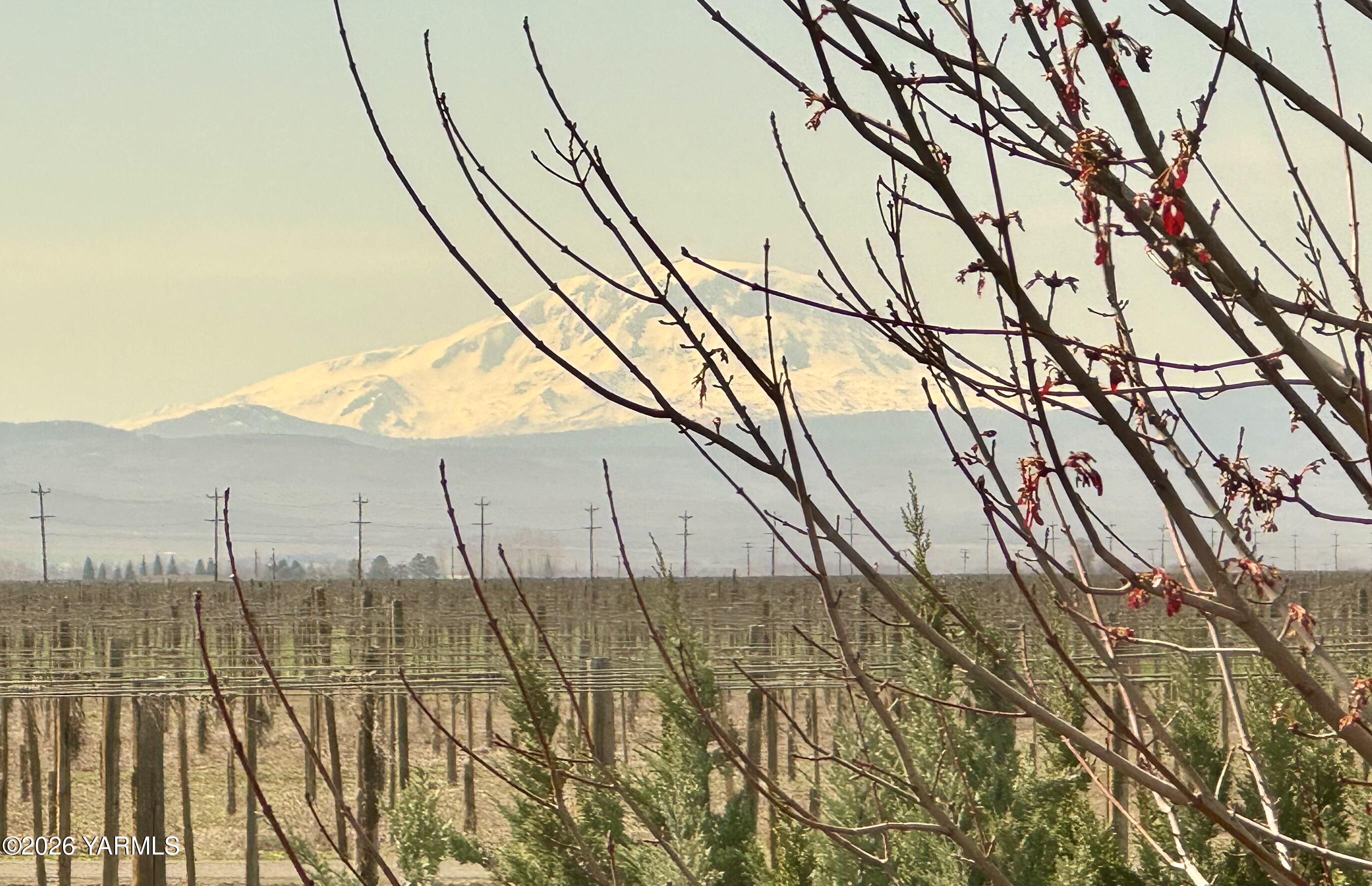 7801 Campbell Rd Unit: 1