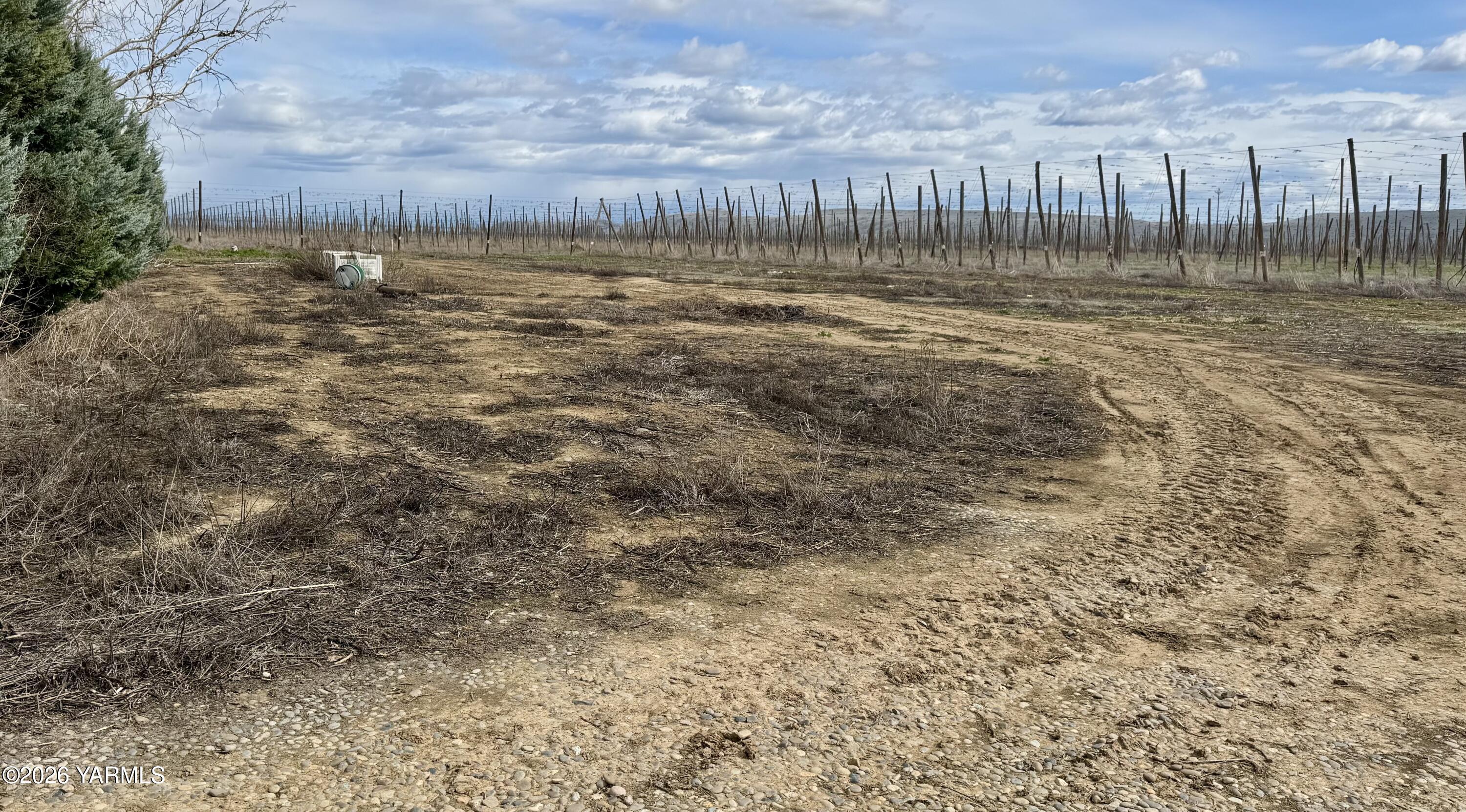 7801 Campbell Rd Unit: 1