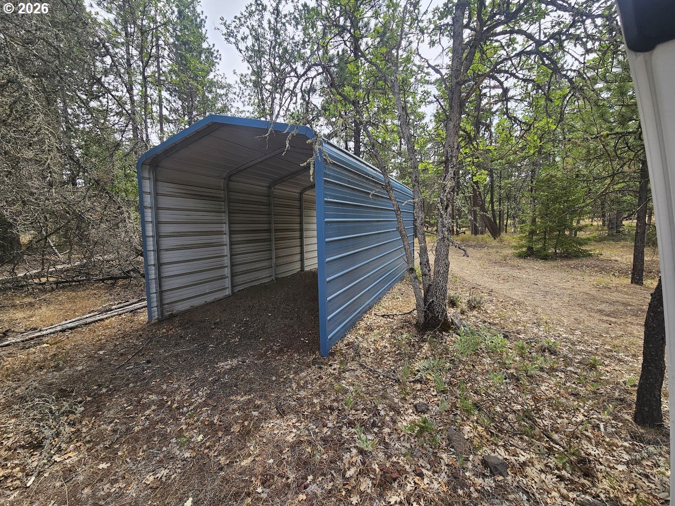 127 GOLDENPINE