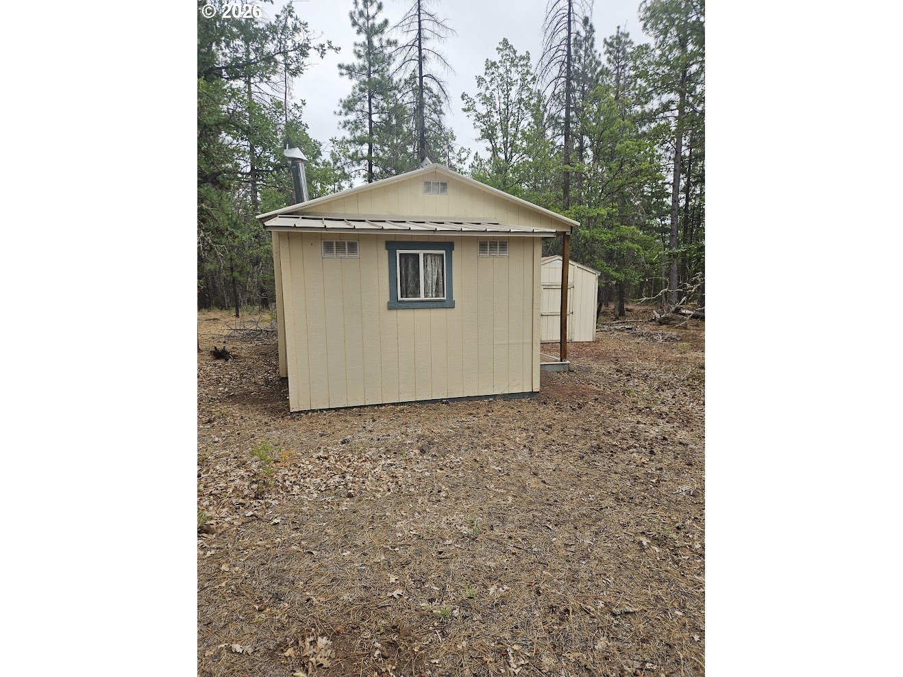 127 GOLDENPINE
