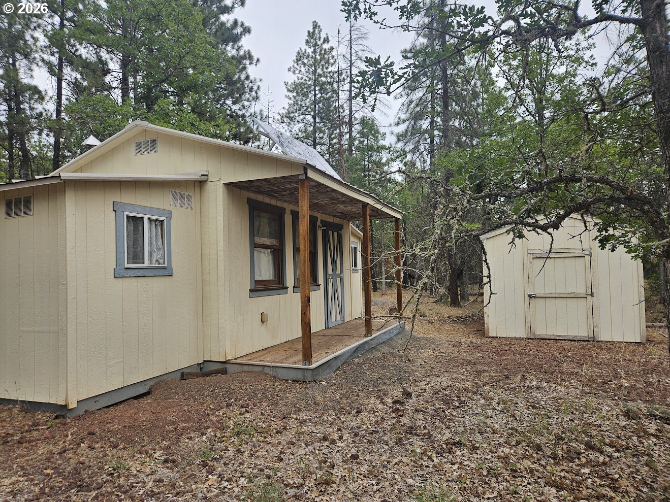 127 GOLDENPINE