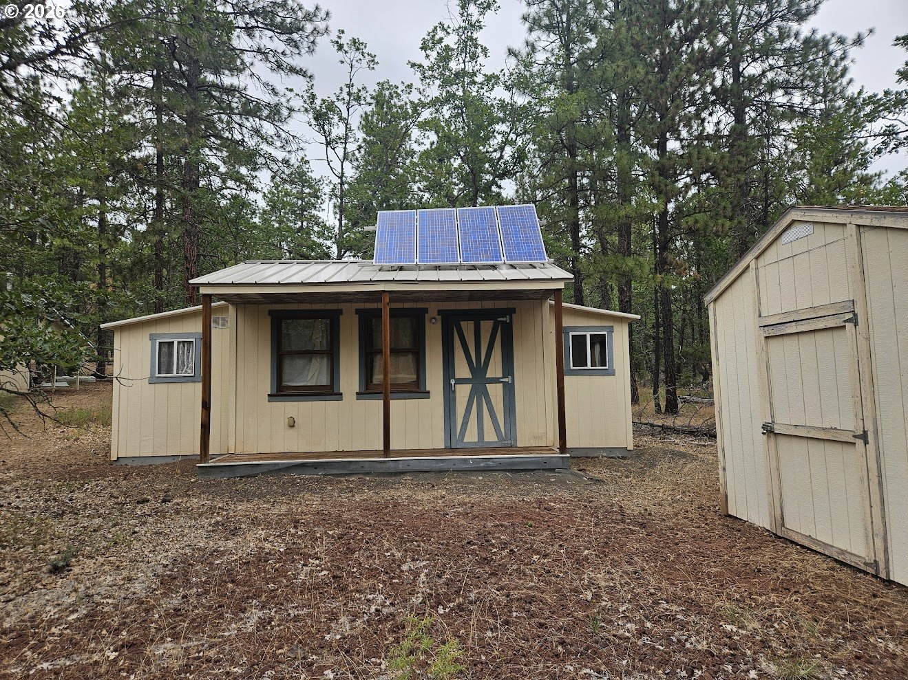 127 GOLDENPINE