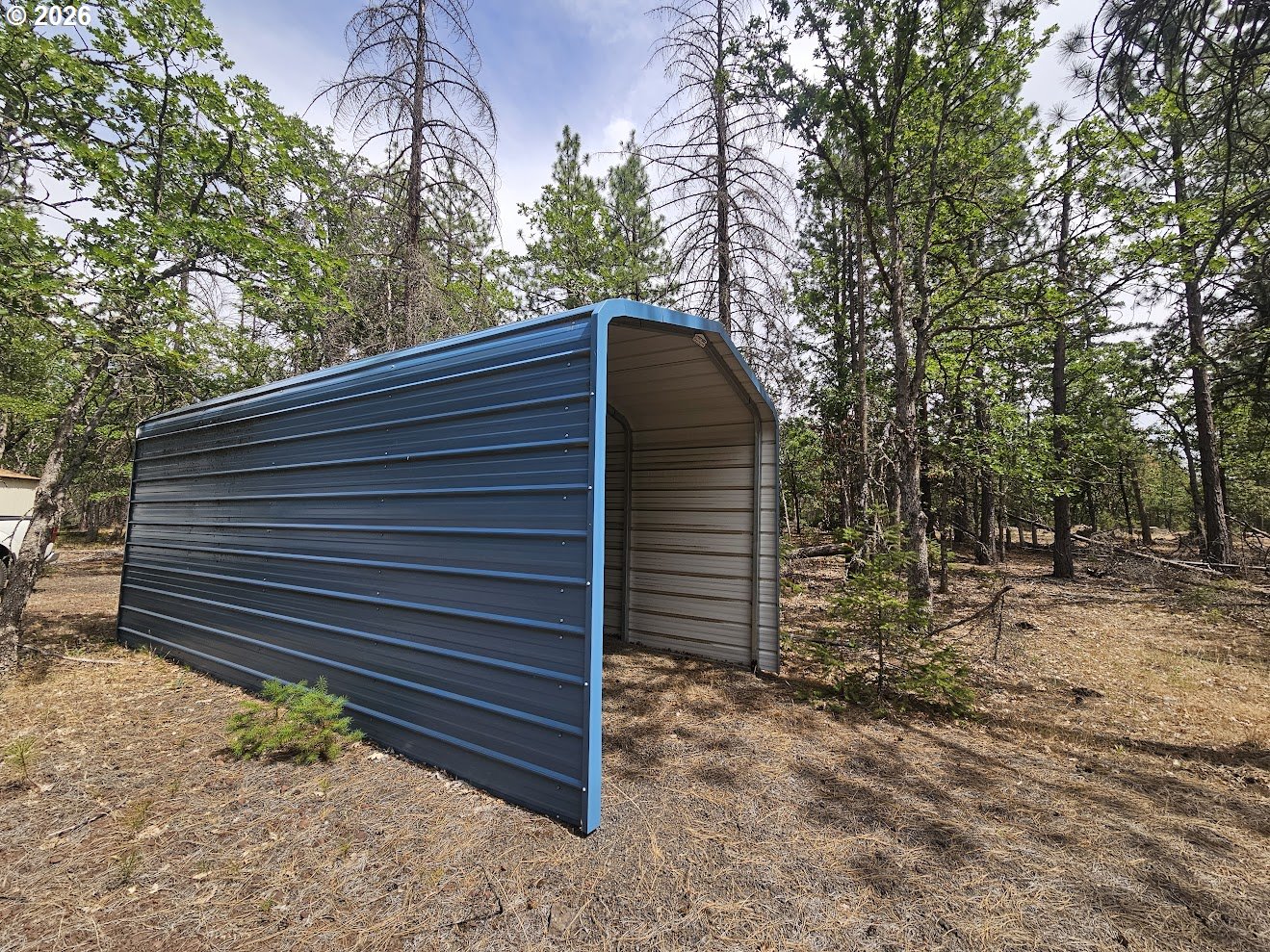 127 GOLDENPINE