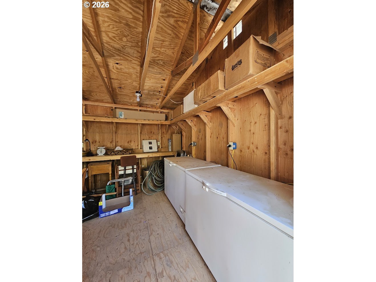 127 GOLDENPINE