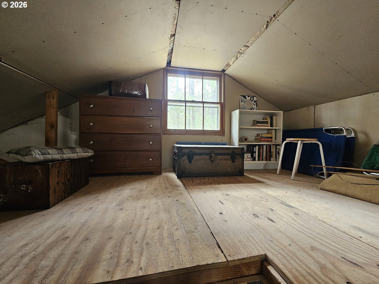 127 GOLDENPINE