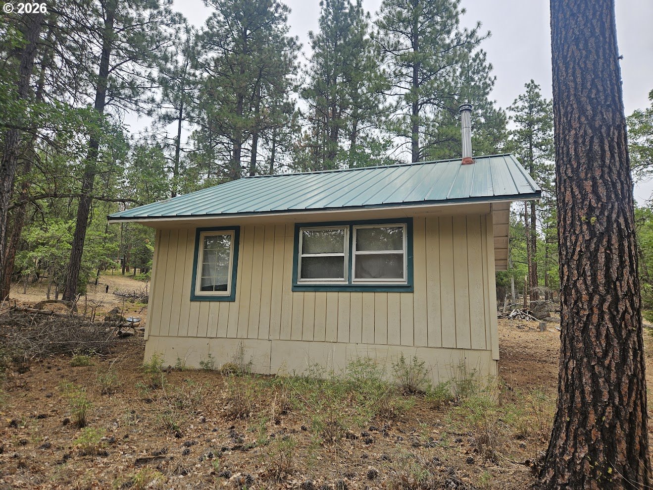 127 GOLDENPINE