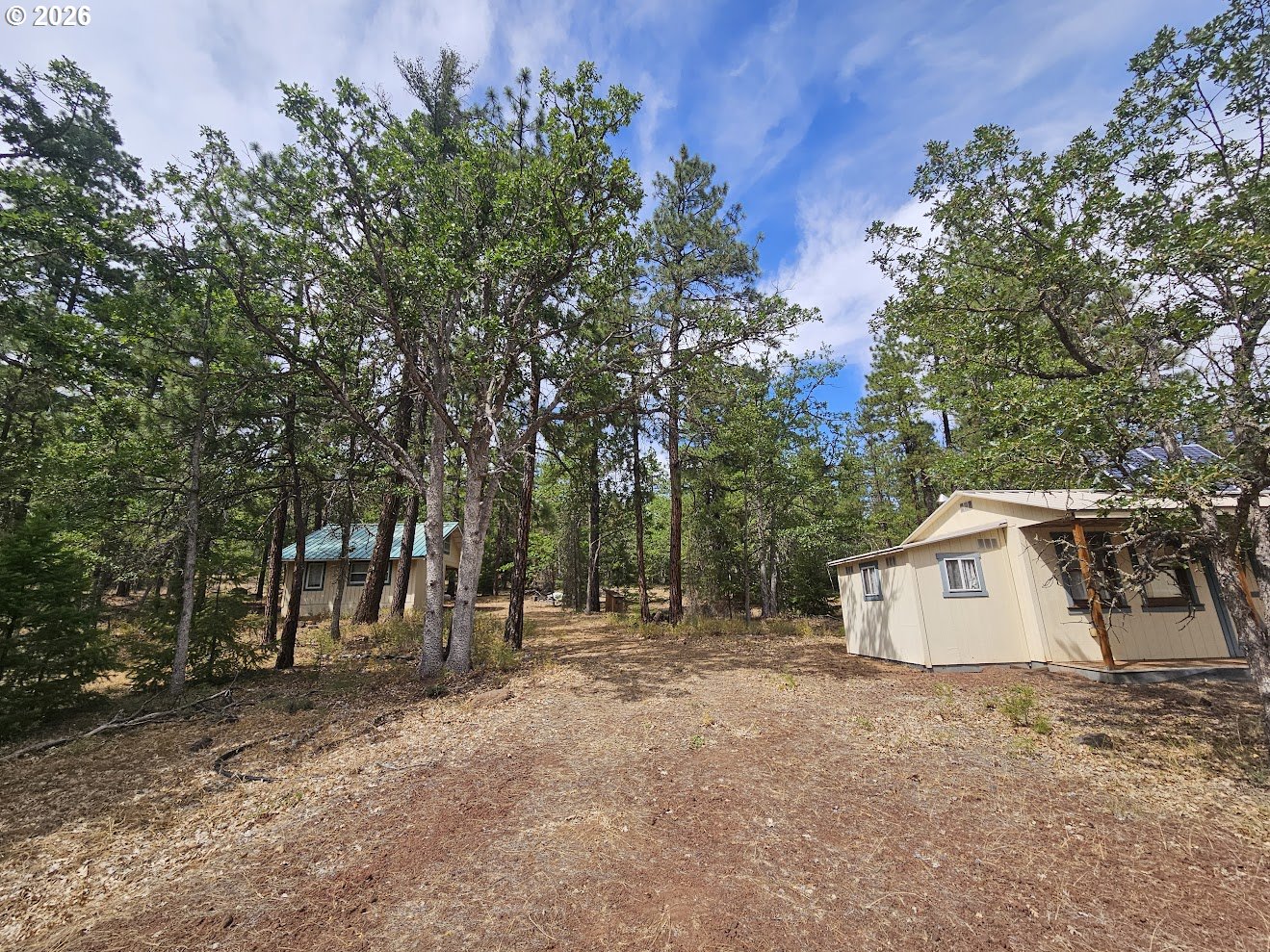 127 GOLDENPINE