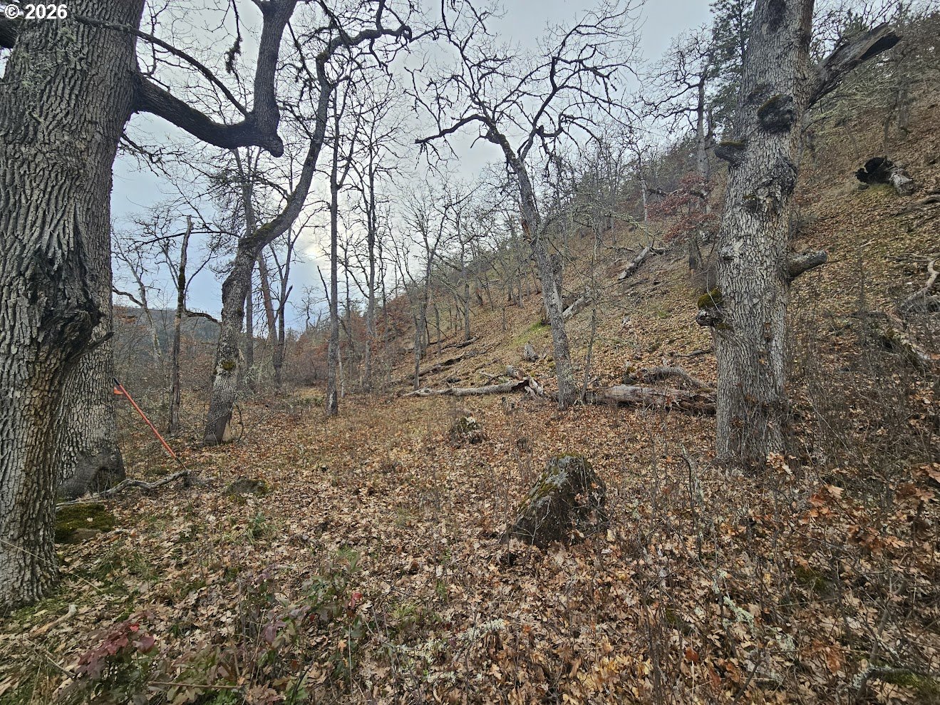 Wahkiacus Heights RD LOT 1