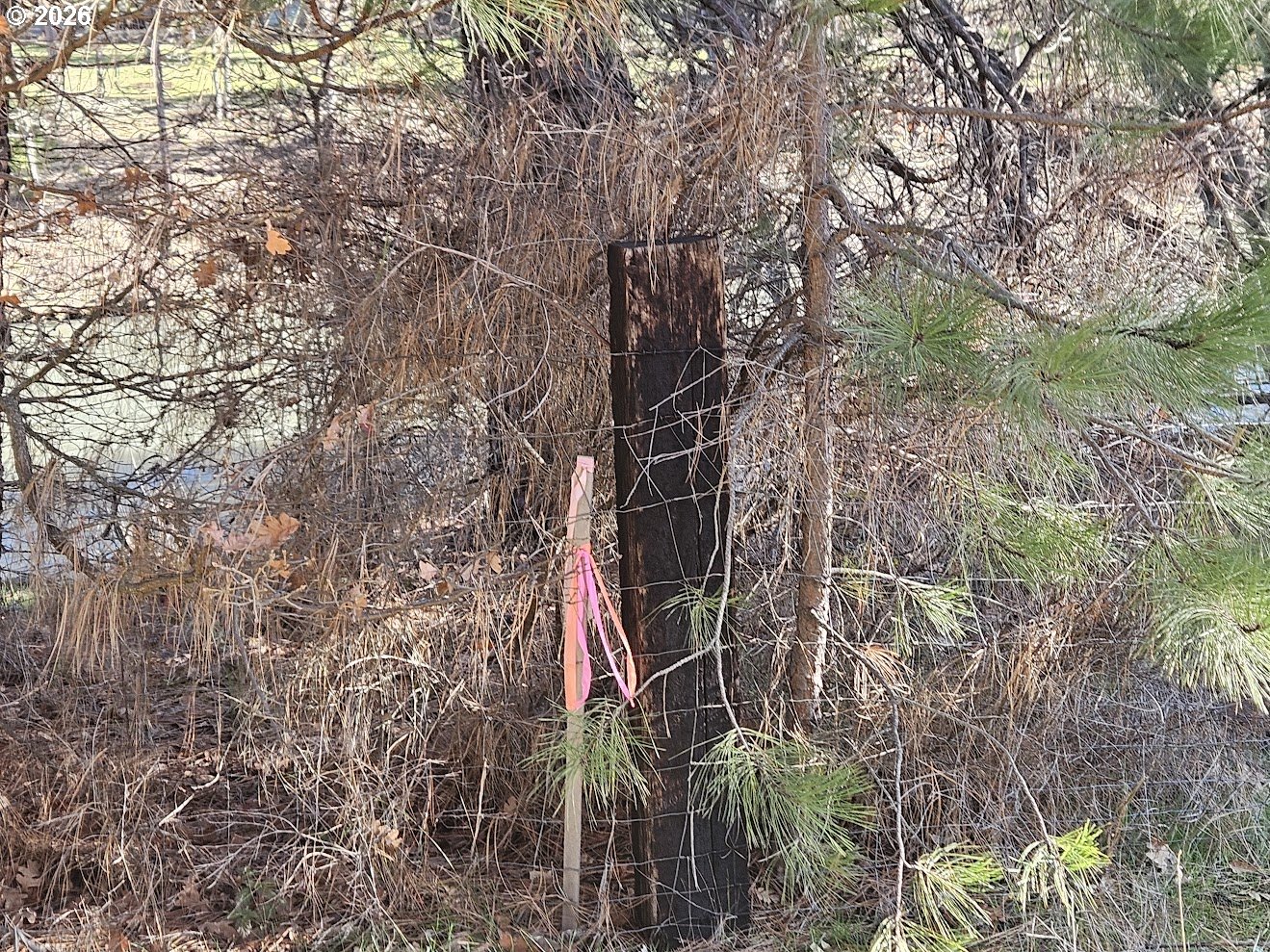 Wahkiacus Heights RD LOT 1