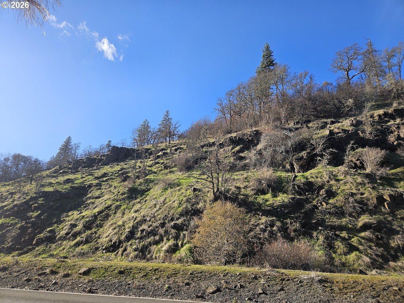 Wahkiacus Heights RD LOT 1