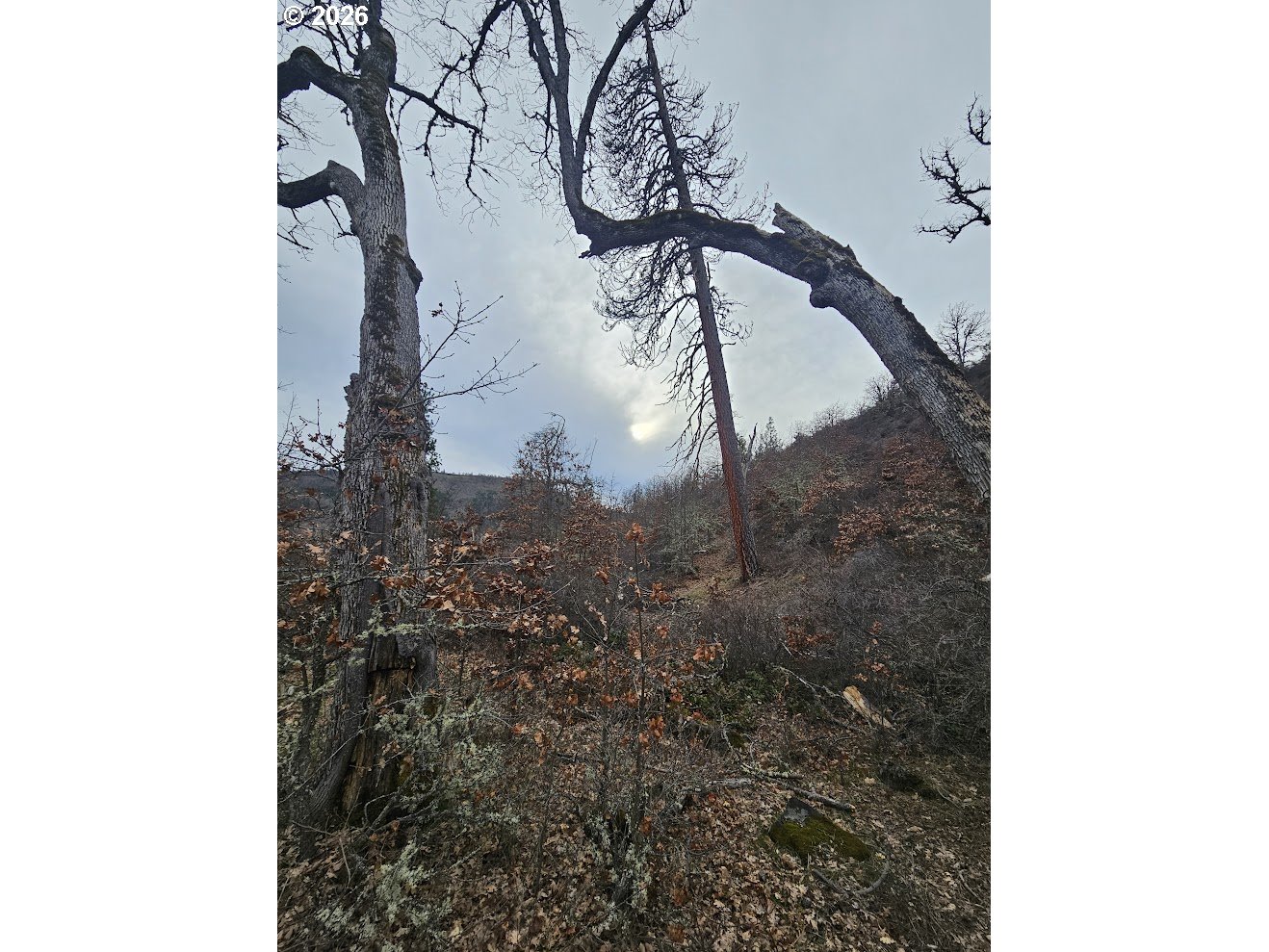 Wahkiacus Heights RD LOT 1