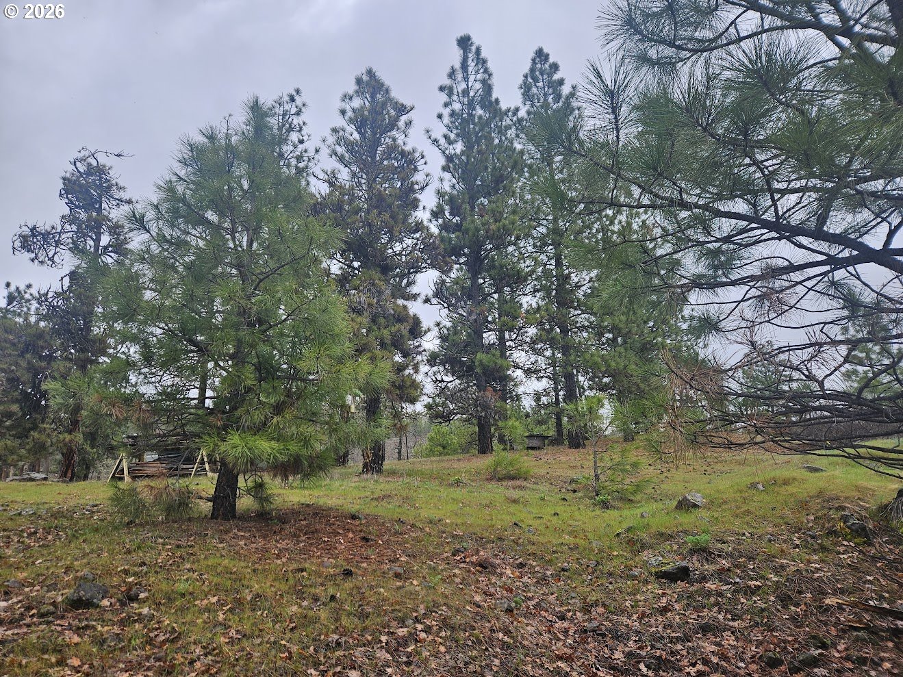 Wahkiacus Heights RD LOT 1