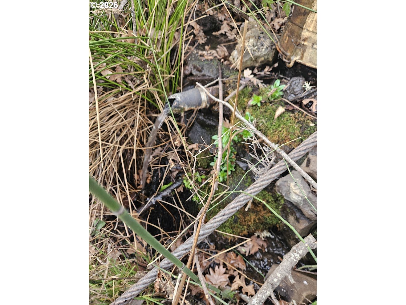 Wahkiacus Heights RD LOT 1