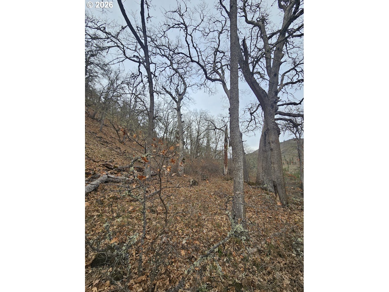 Wahkiacus Heights RD LOT 1