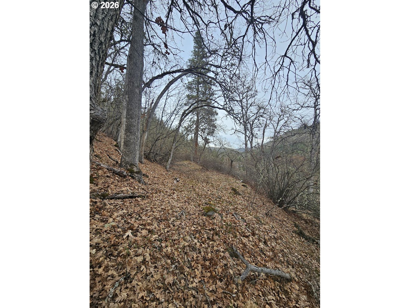 Wahkiacus Heights RD LOT 1