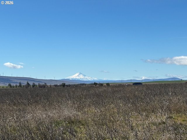 173 THREE SPURS LOOP