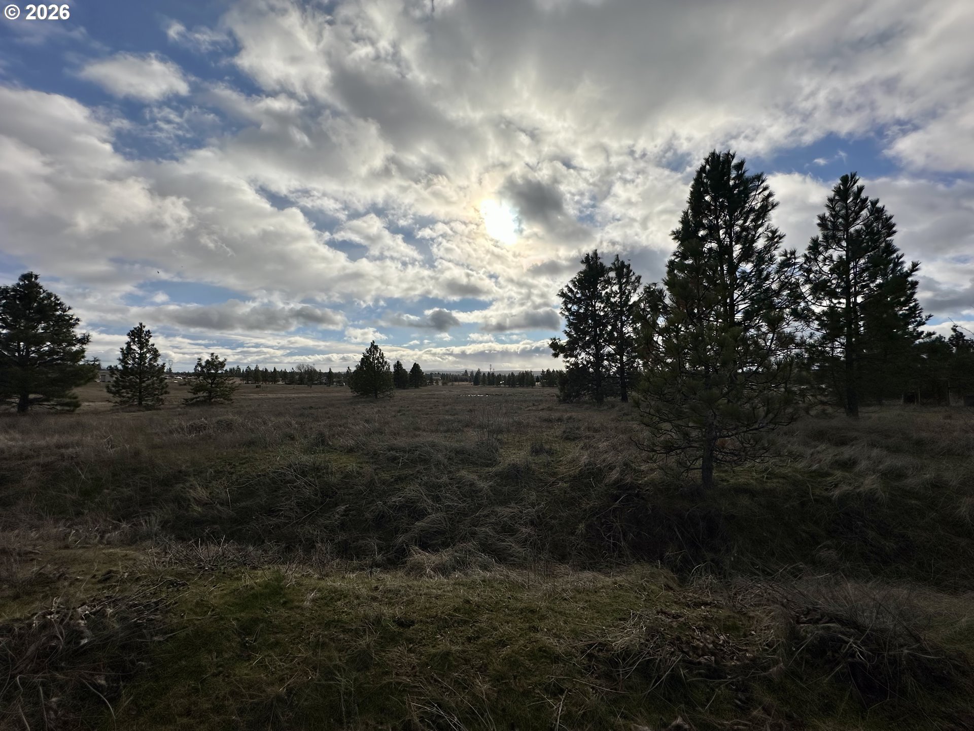 Mt. View Ranch Rd.