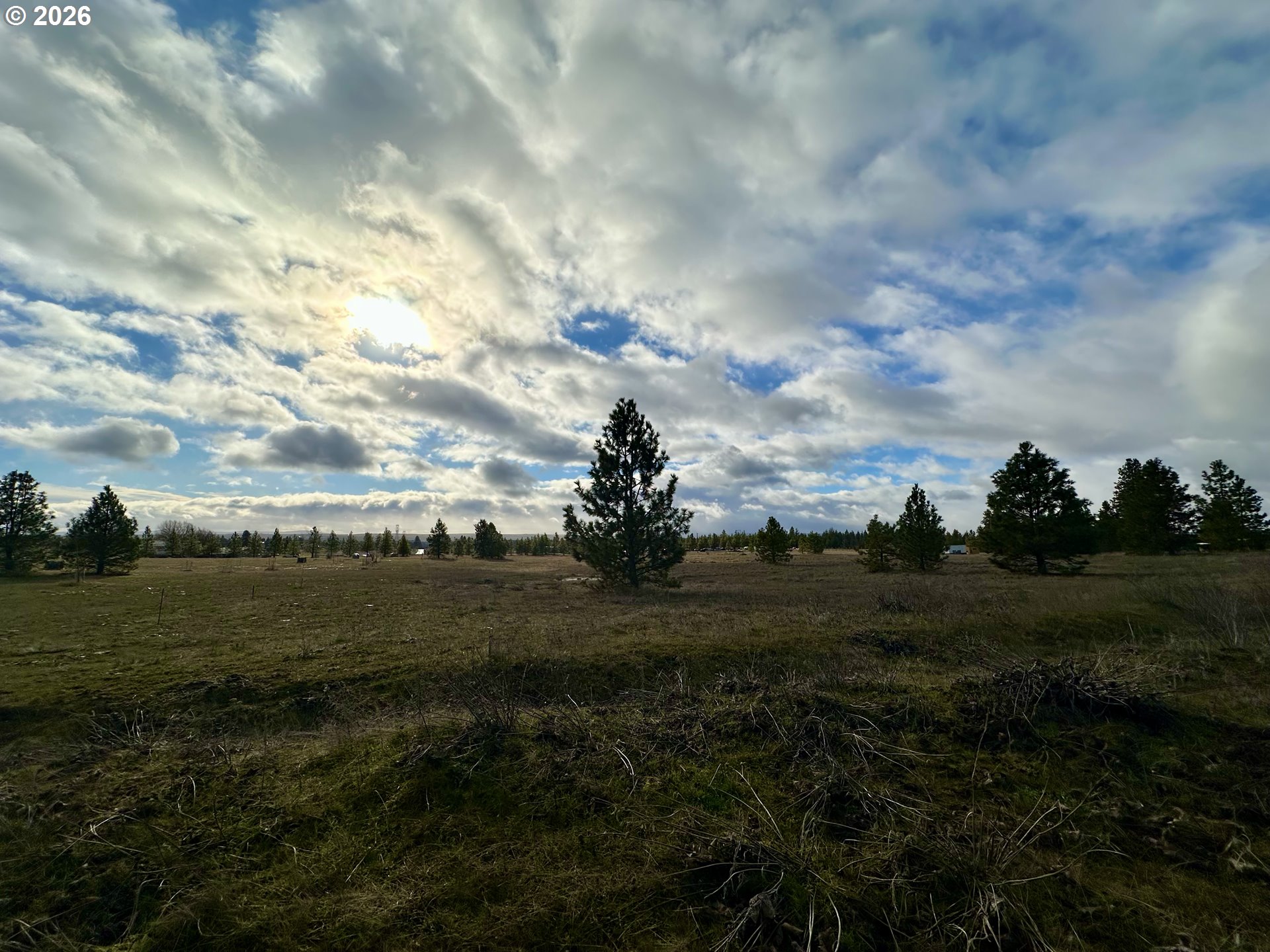 Mt. View Ranch Rd.
