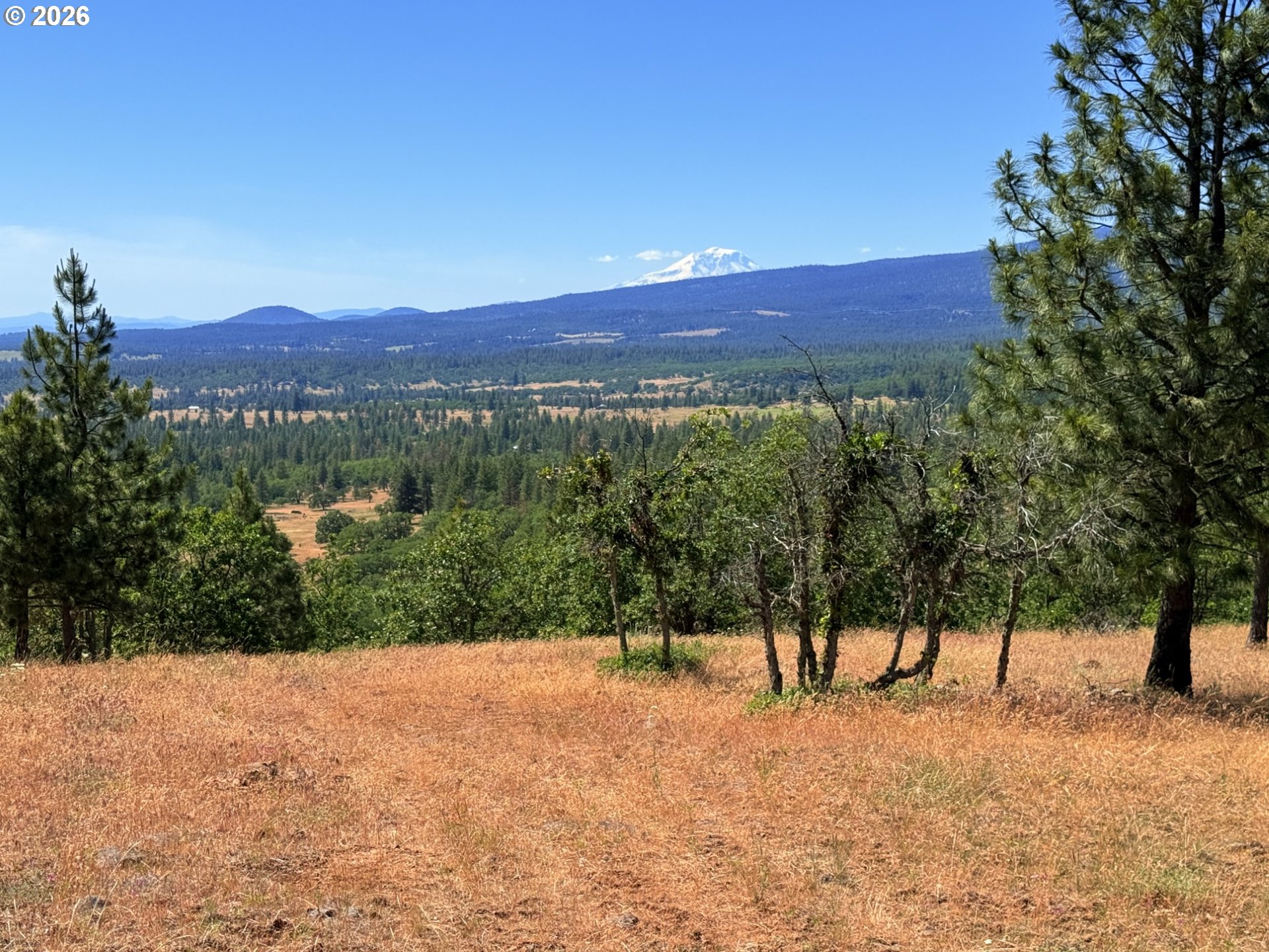 238 Chisholm RD