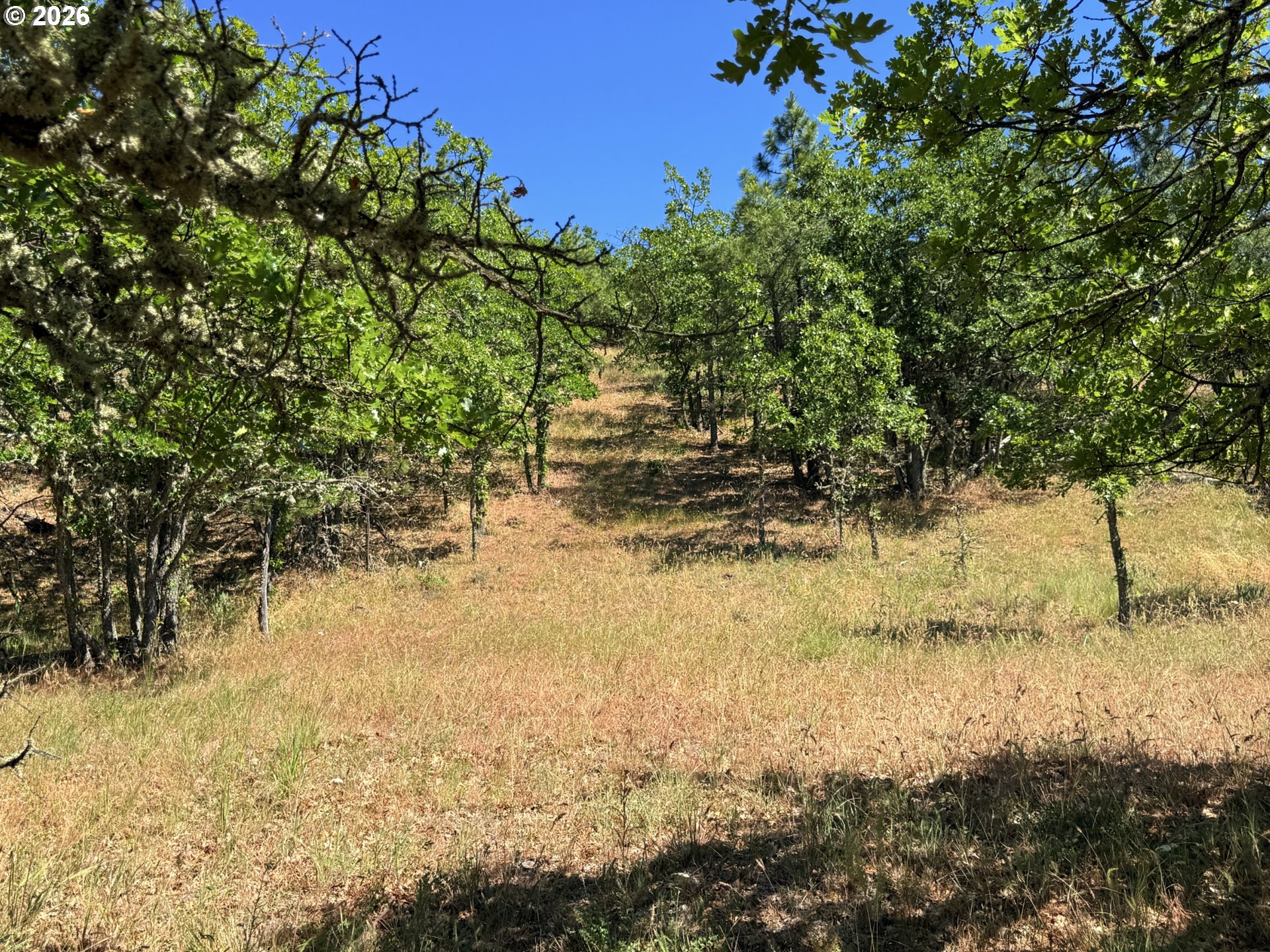 238 Chisholm RD