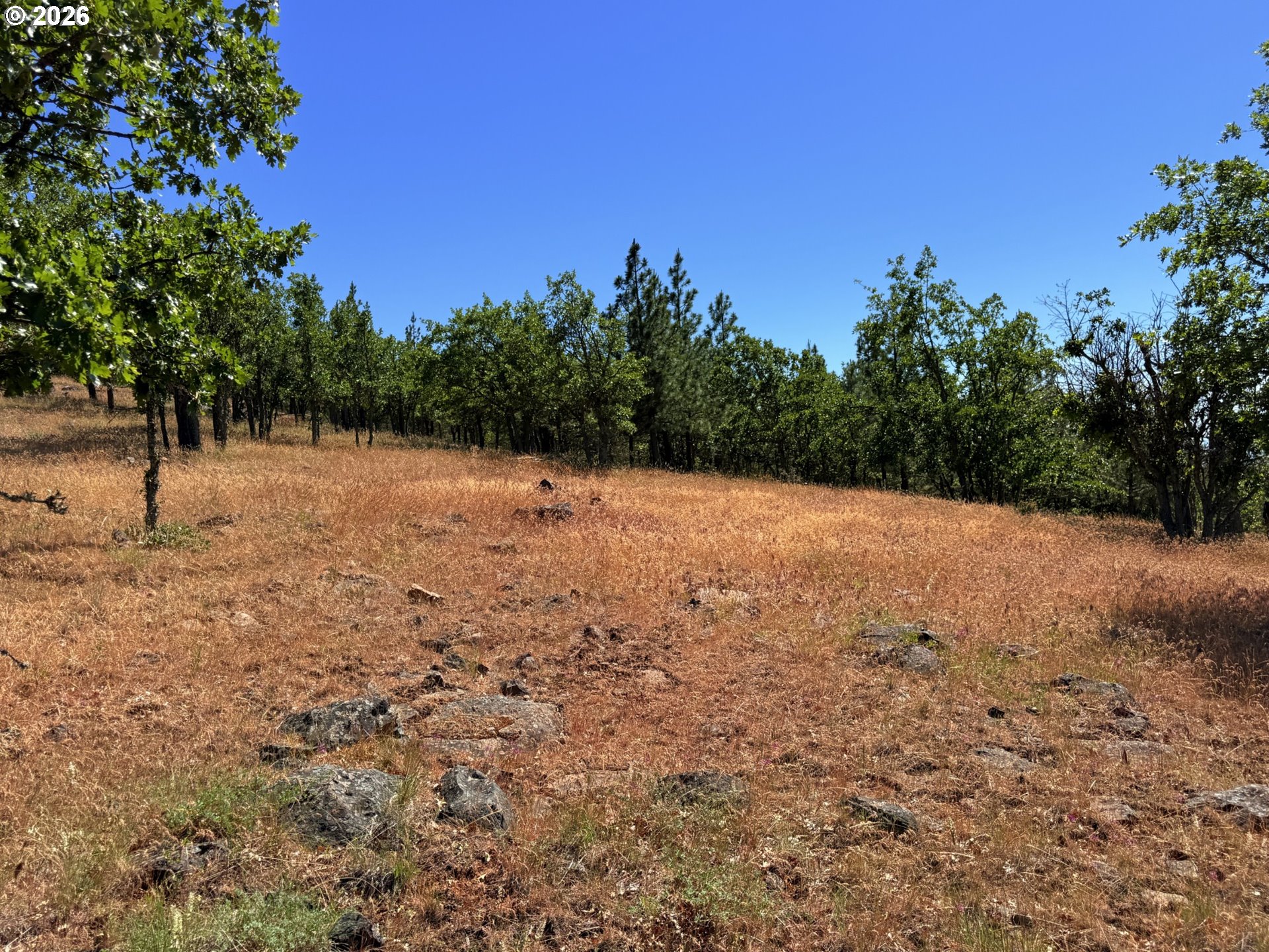 238 Chisholm RD