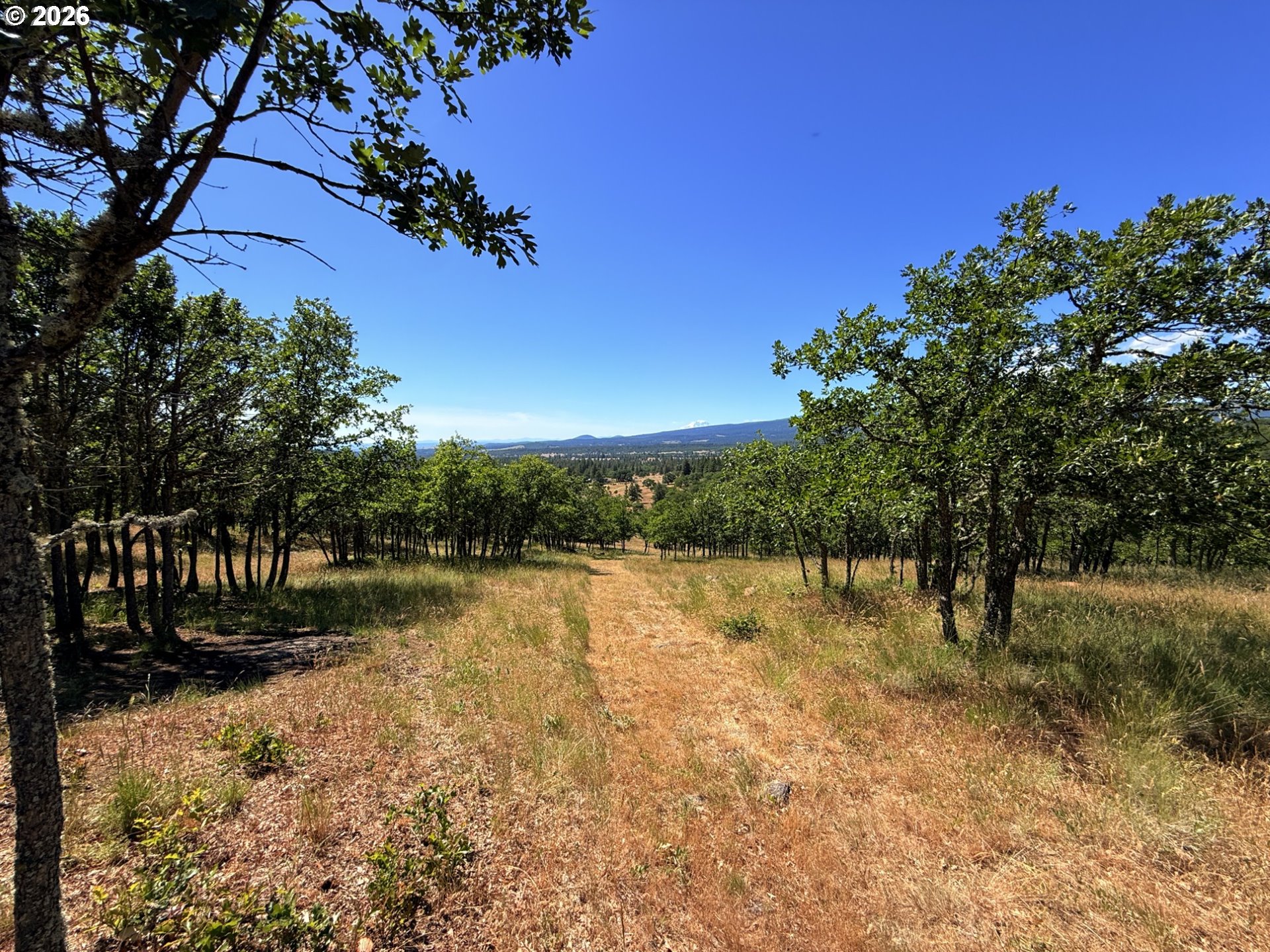 238 Chisholm RD