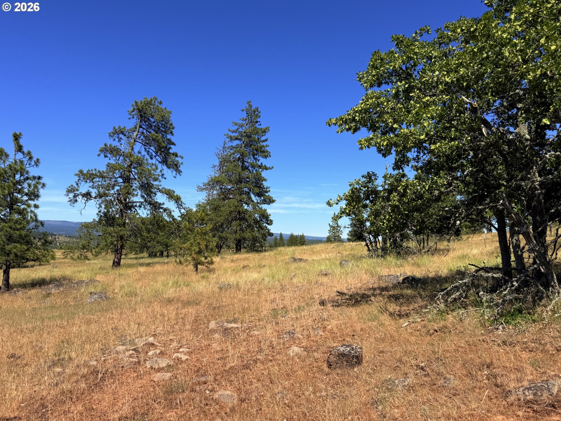 238 Chisholm RD